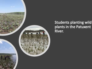 PGCPS Greenbelt MS Green School Application 2019 